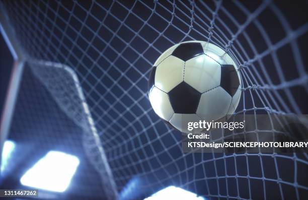 宁夏代表团在全国残特奥会再夺3金